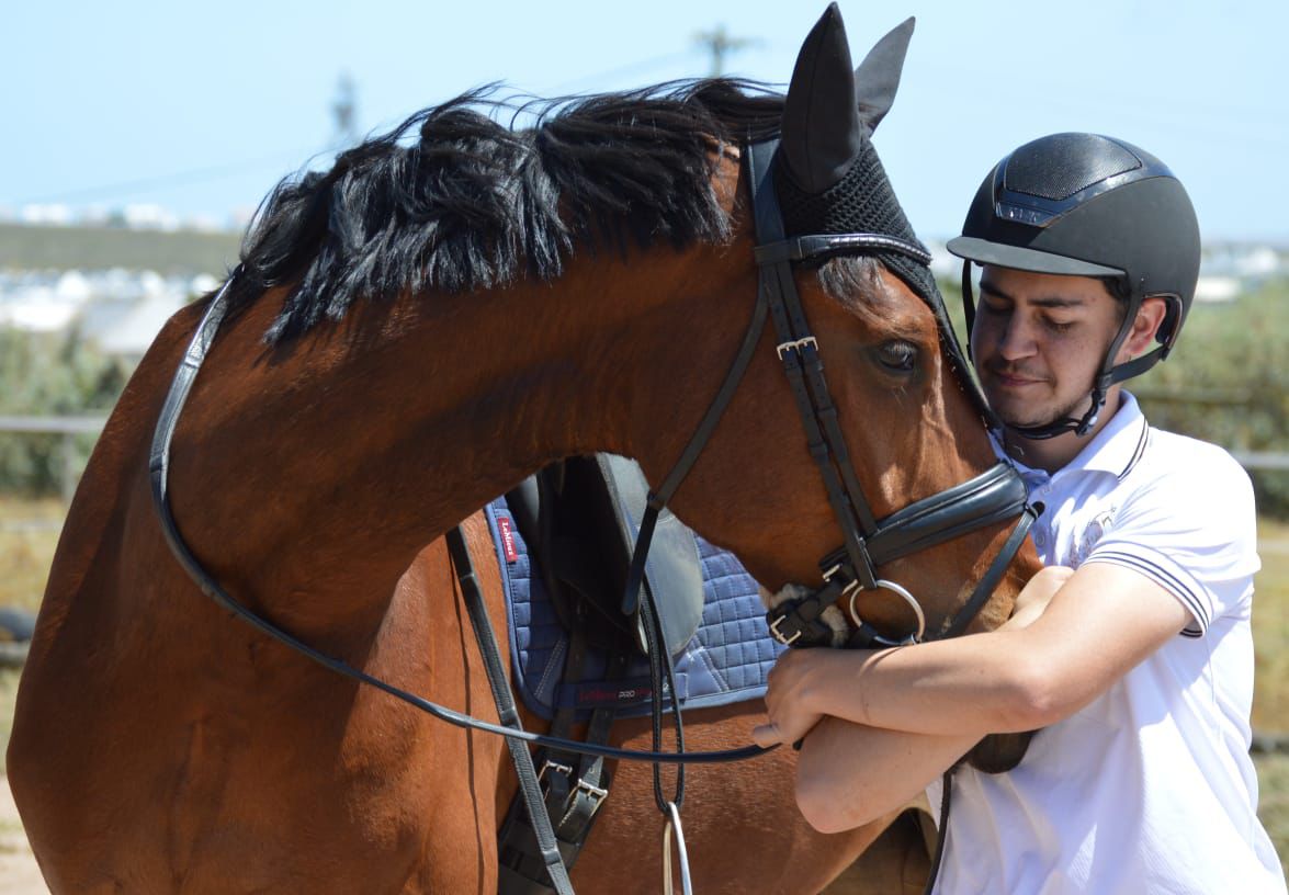 DC Dressage DC Dressage