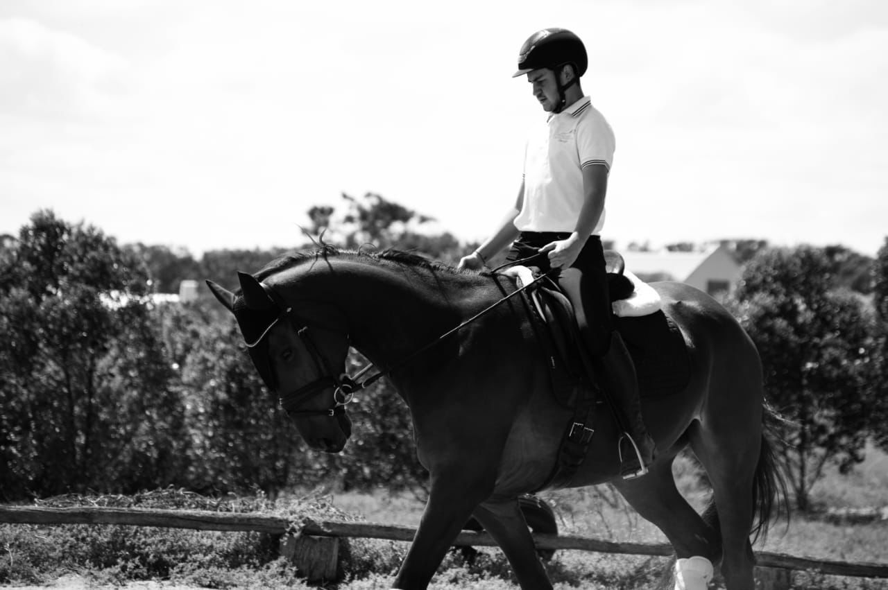 DC Dressage DC Dressage