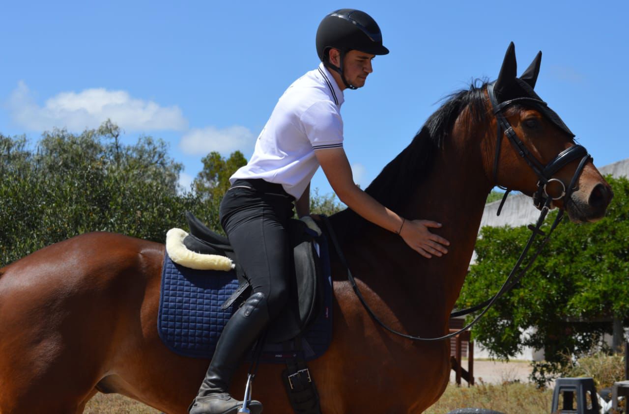 DC Dressage DC Dressage