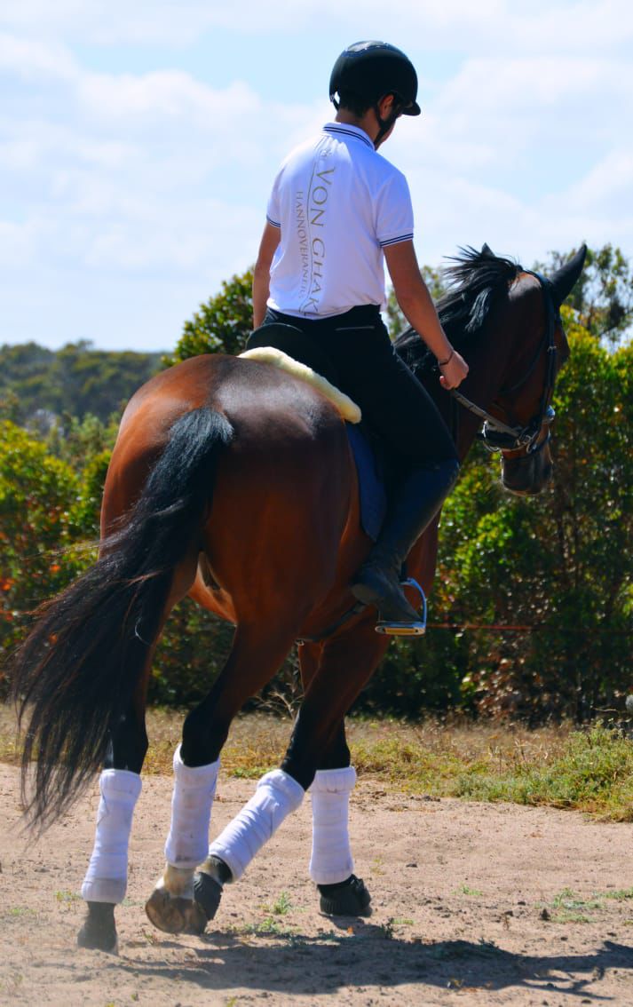 DC Dressage DC Dressage